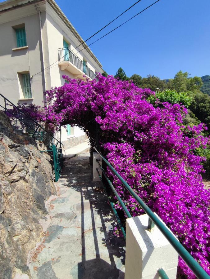 La Vallicella Farinole Exterior foto